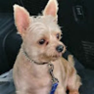 Meet your Posher, Ruth